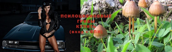 экстази Богородицк