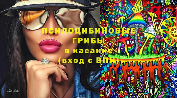 гашиш Богданович