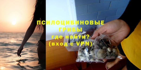 герыч Богородск