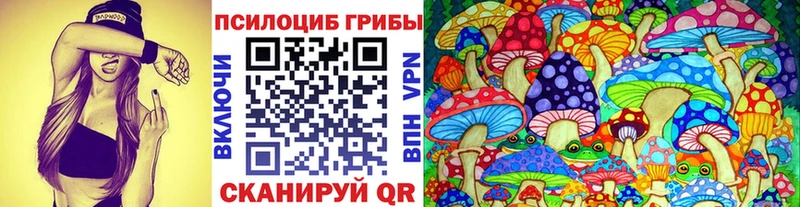Псилоцибиновые грибы Magic Shrooms  как найти   Бутурлиновка 